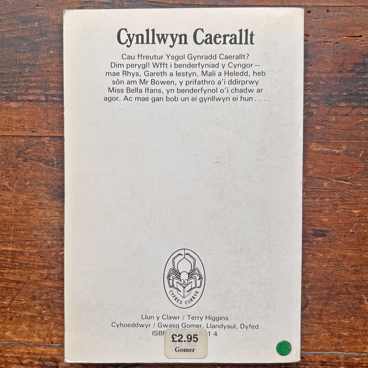 Cynllwyn Caerallt - Jacqueline Pinto (Preloved)