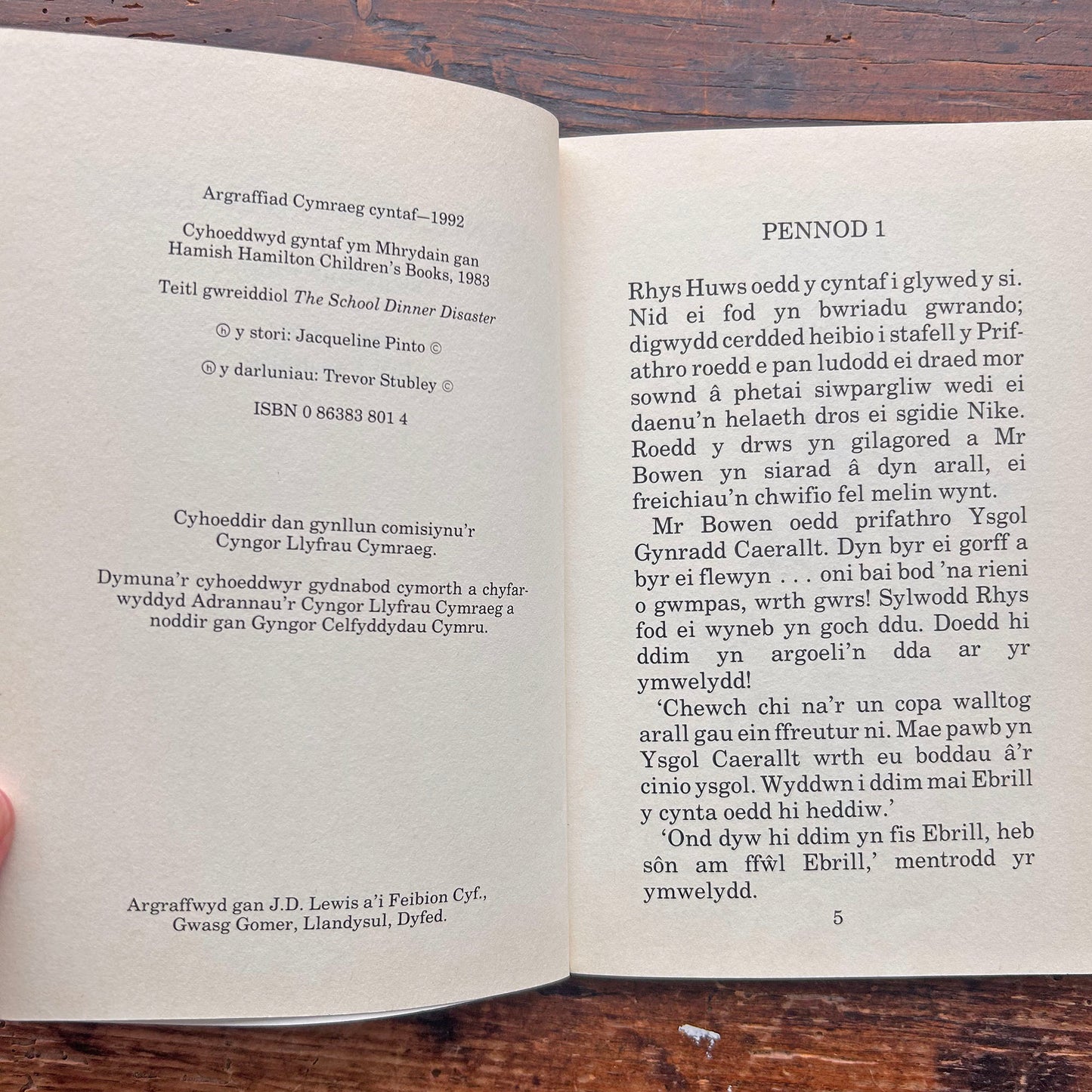 Cynllwyn Caerallt - Jacqueline Pinto (Preloved)