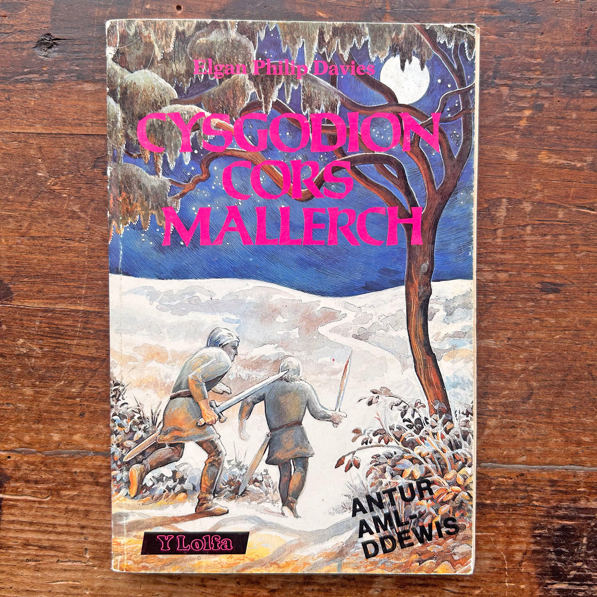 Cysgodion Cors Mallerch - Elgan Philip Davies 1988 (Preloved)