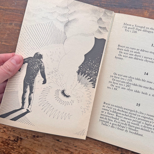 Cysgodion Cors Mallerch - Choose Own Adventure - Elgan Philip Davies