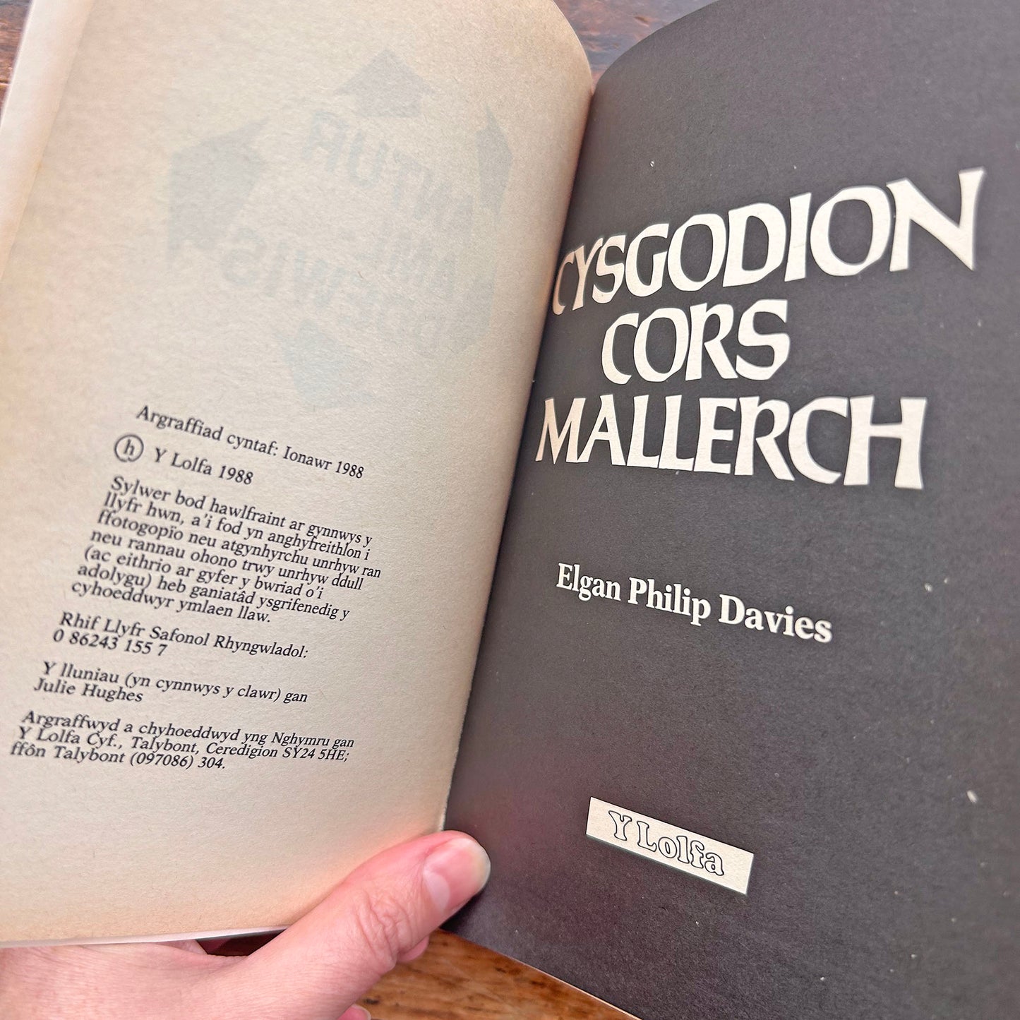 Cysgodion Cors Mallerch - Elgan Philip Davies 1988 (Preloved)