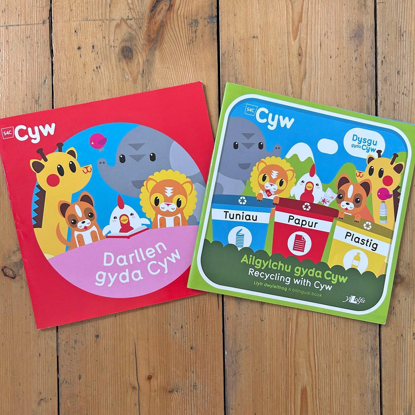 Cyw Bundle of 2 Books (Preloved)