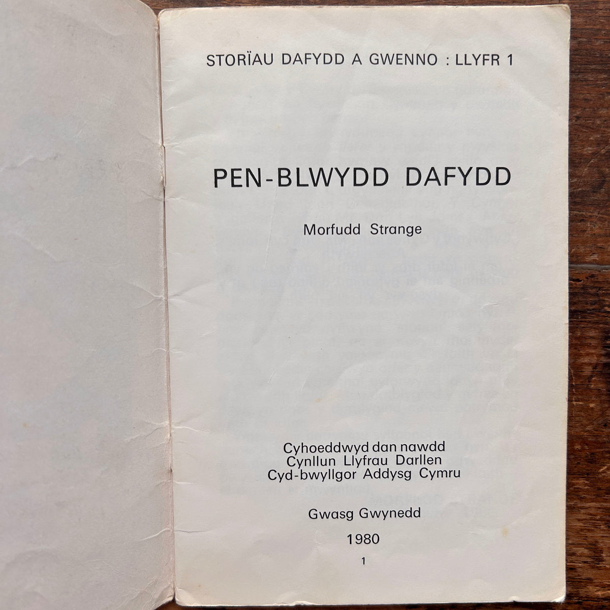 Dafydd a Gwenno - Pen-Blwydd Dafydd - Morfudd Strange 1980 (Preloved)