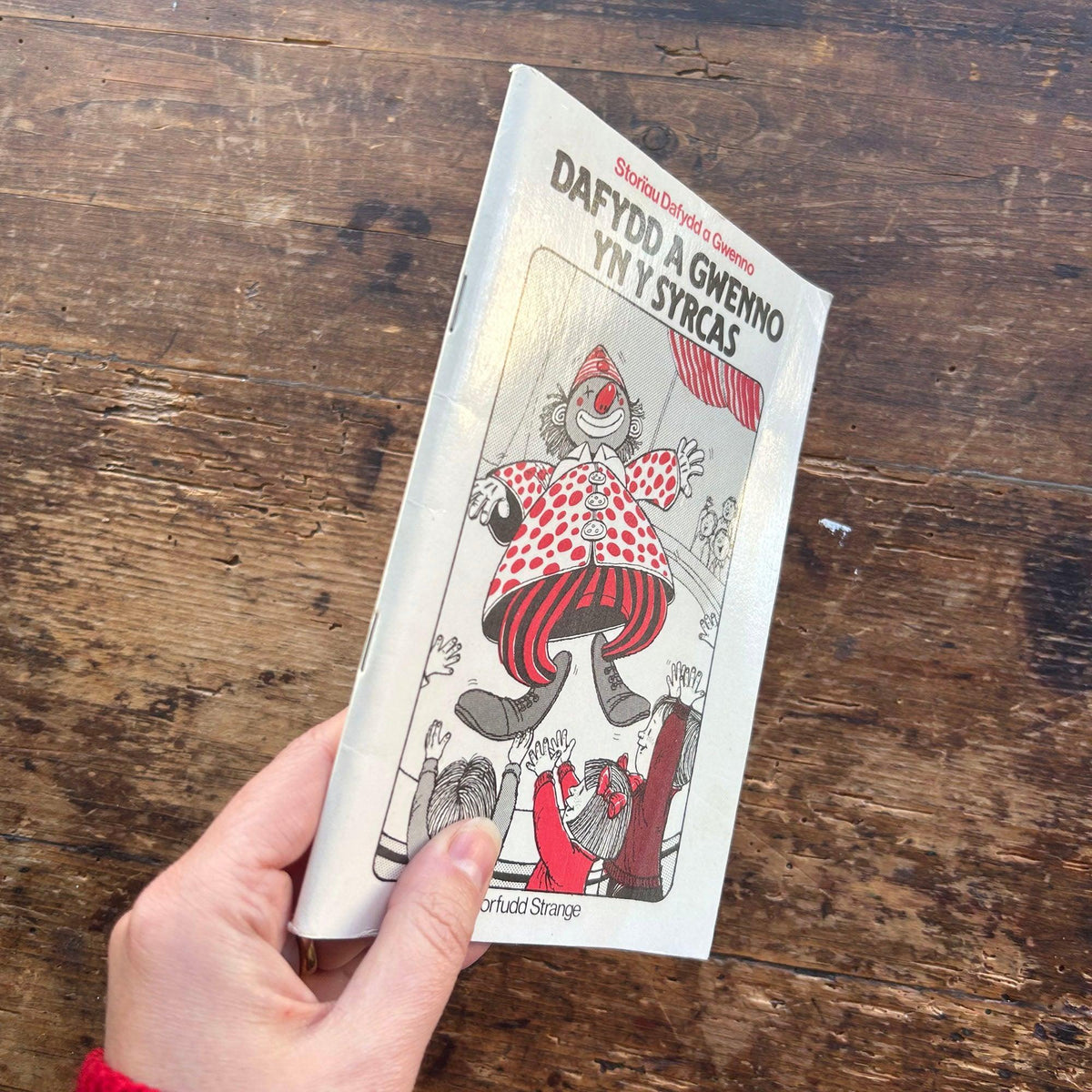 Dafydd a Gwenno yn y Syrcas - Morfudd Strange 1980 (Preloved)
