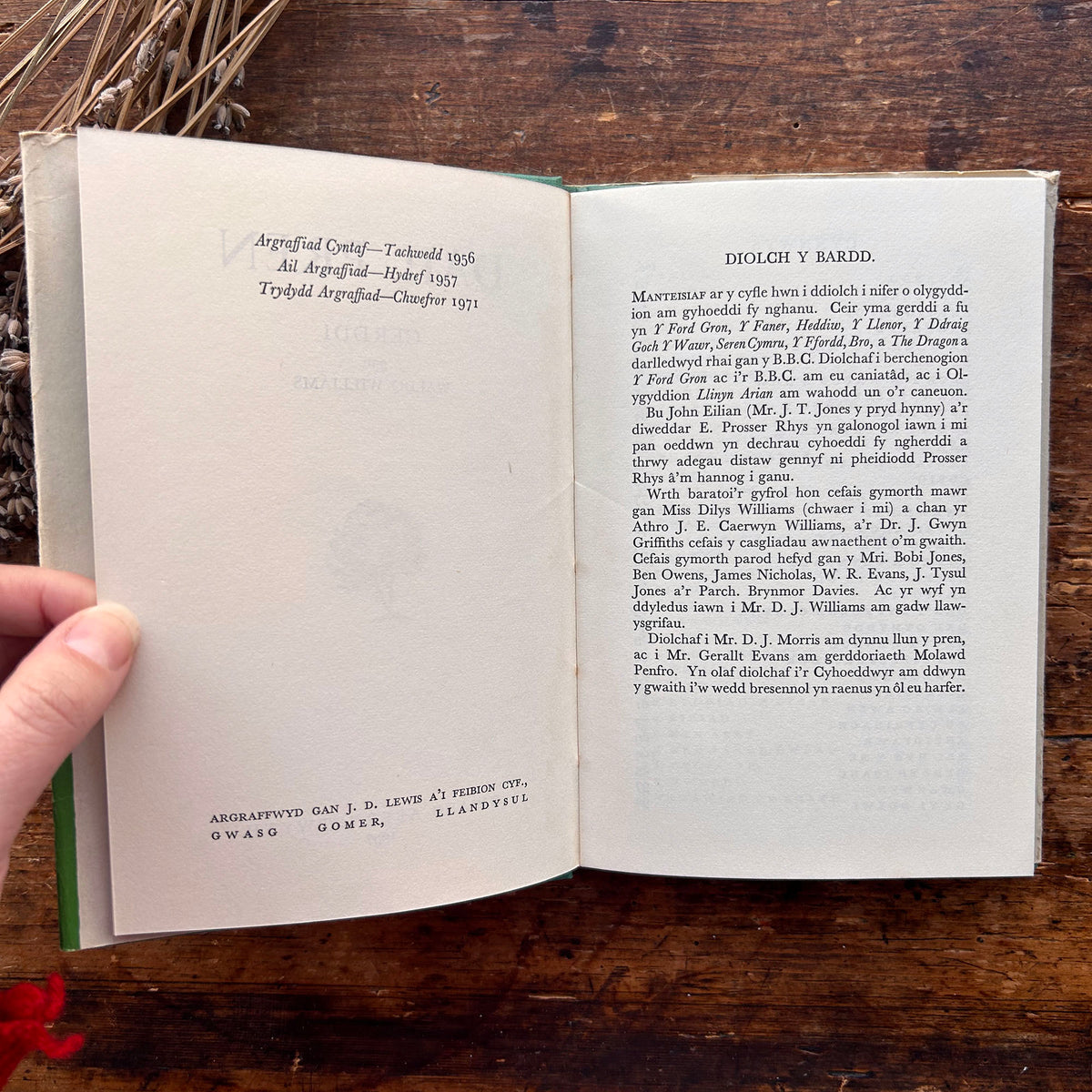 Dail Pren - Cerddi - Waldo Williams - 1971 (Preloved)