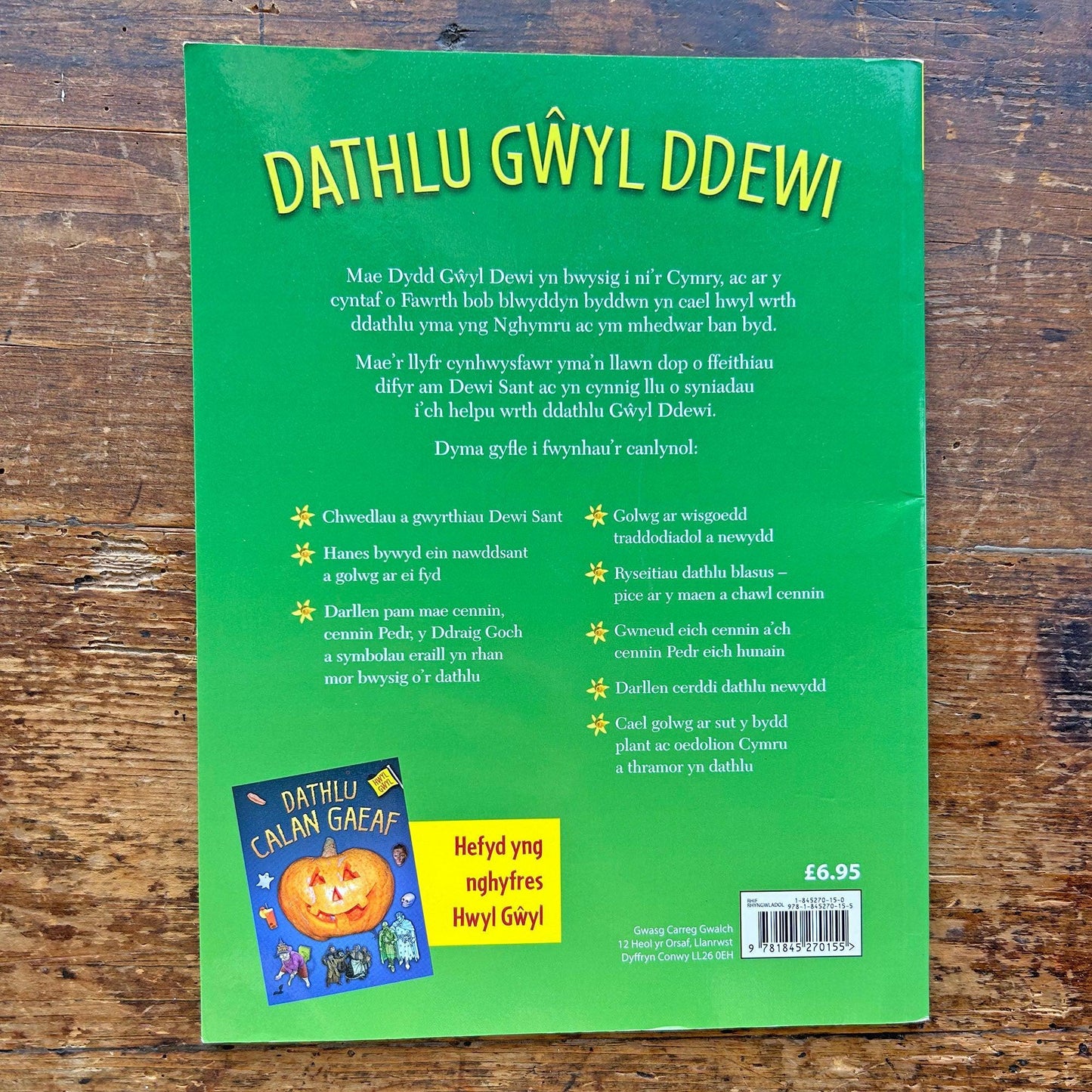 Dathlu Gwyl Ddewi - Celebrating St David's Day (Preloved)