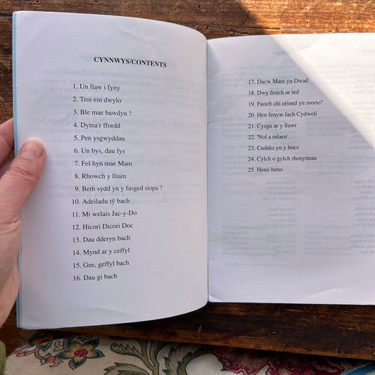 Dechrau Canu - Mudiad Ysgolion Meithrin - Song Book 1986 (Preloved)