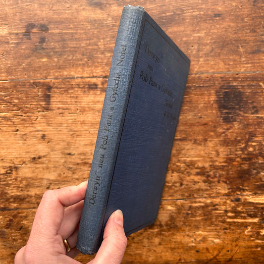 Derwyn - Pob Pant a Gyfodir Nofel - R. D. Morris 1924 1st edition (Preloved)