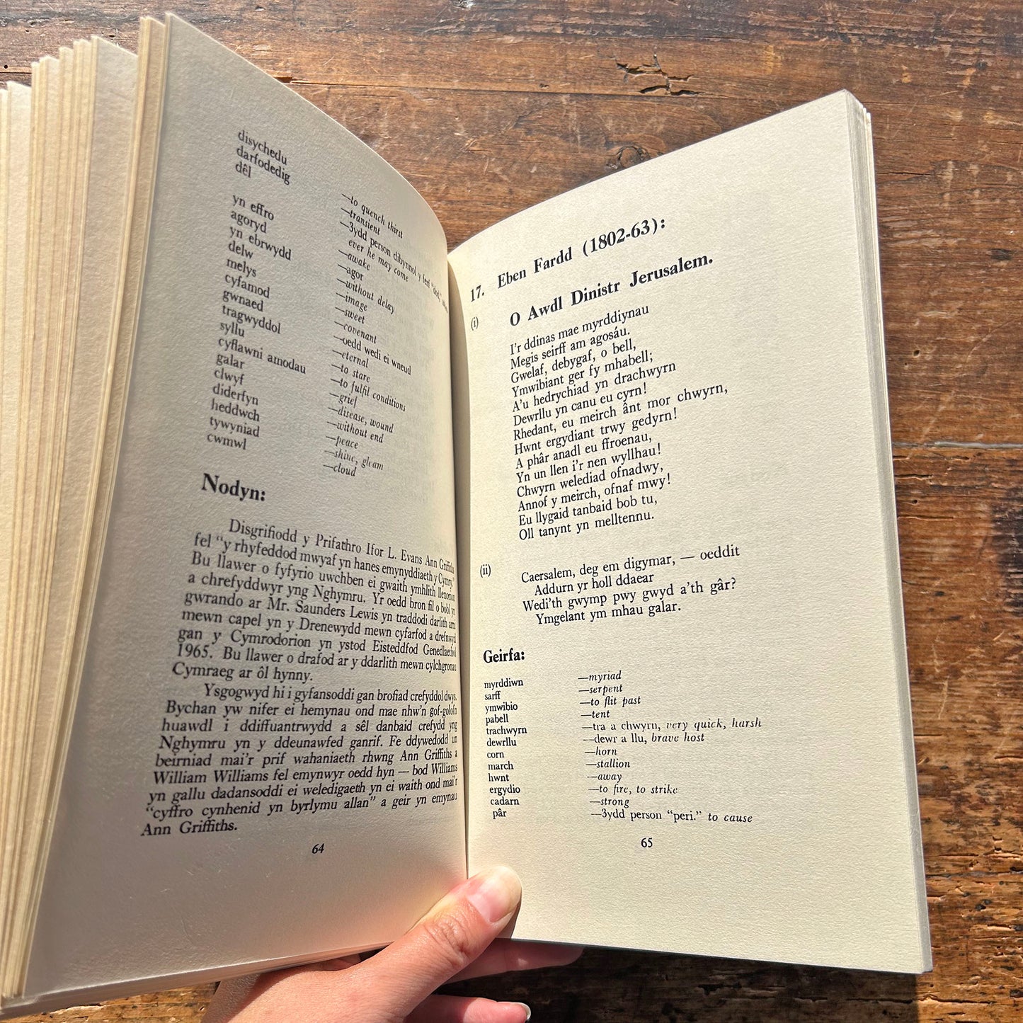 Detholiad o Farddoniaeth Cymraeg - Poetry for Welsh Learners - Jac L. Williams (Preloved)