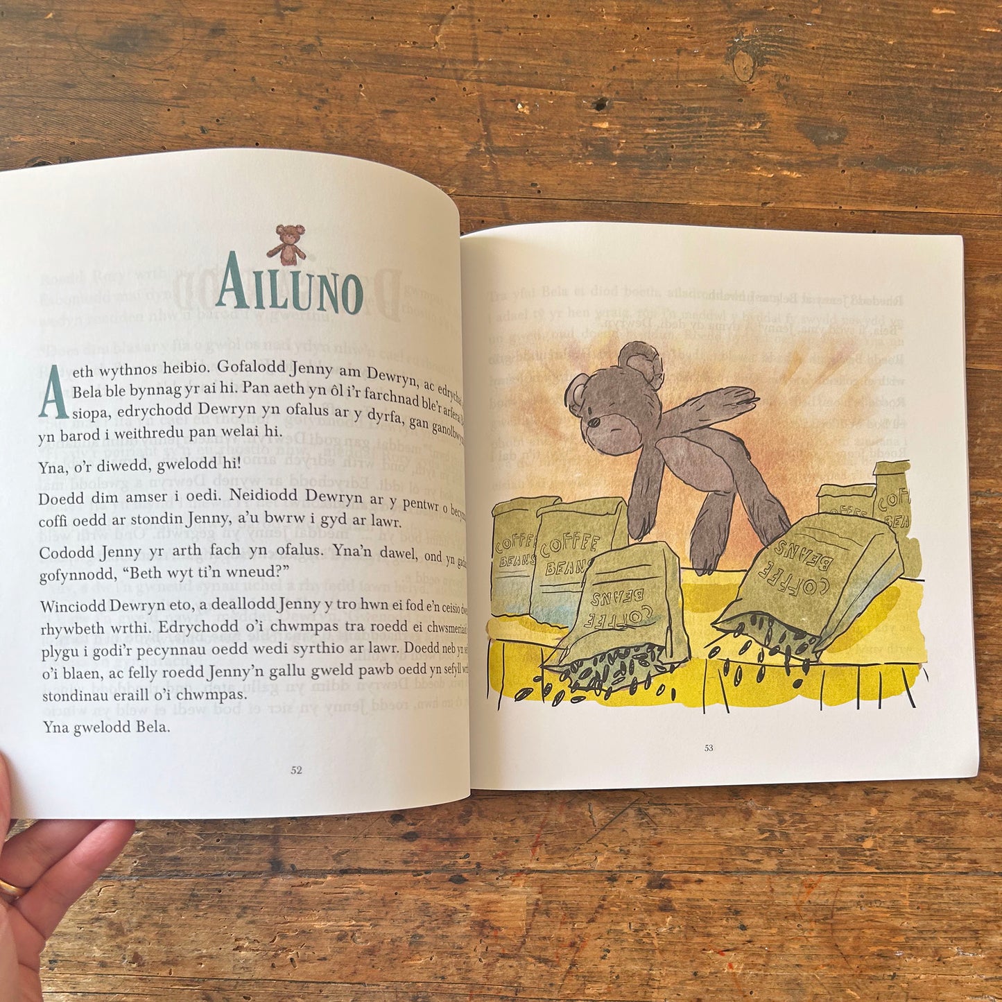 Dewryn - Stori am Gyfeillgarwch a Rhyddid (Preloved)