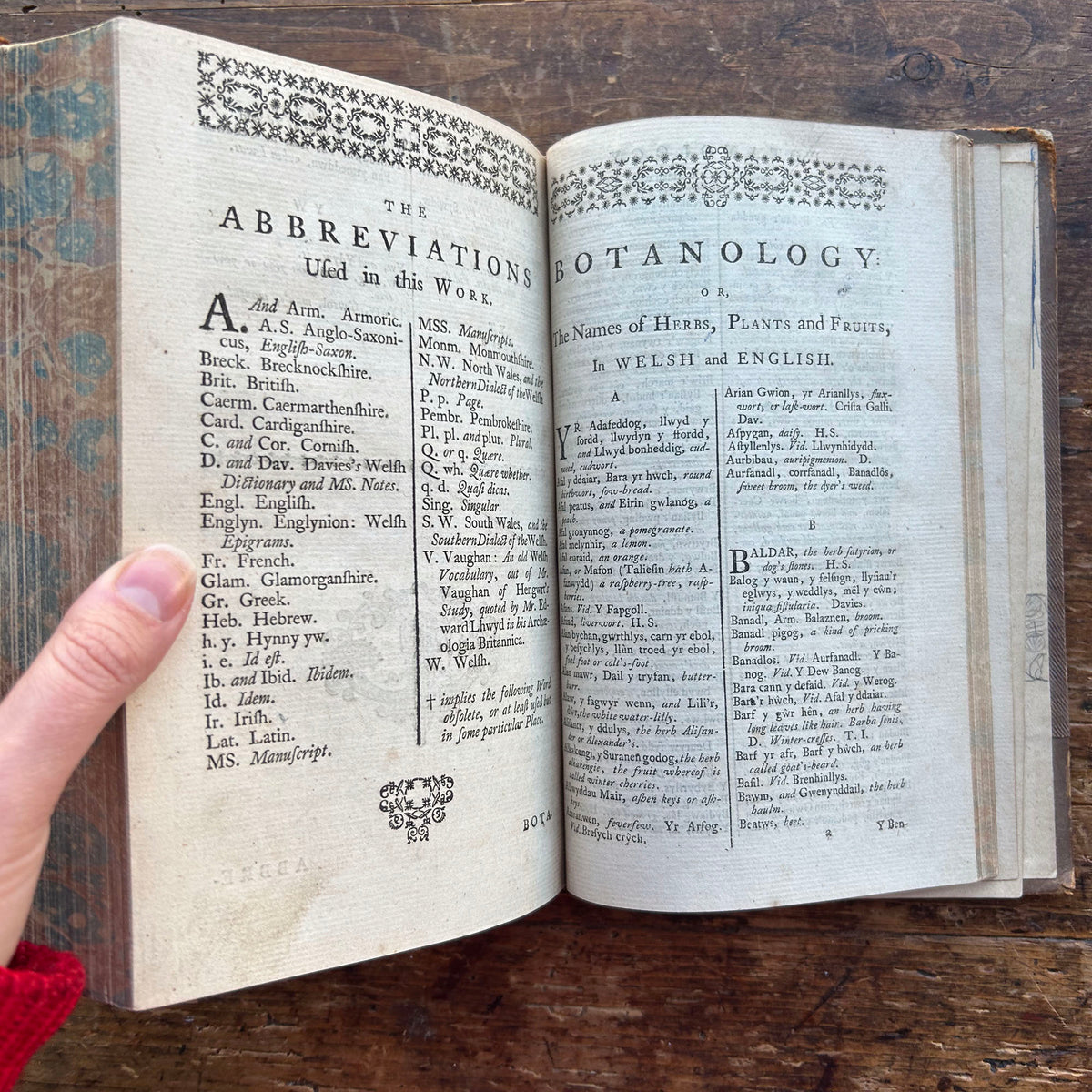 Dictionary / Geiriadur - Antiquae Linguae Britannicae - Richards Welsh & English - Antique 1759 (Preloved)