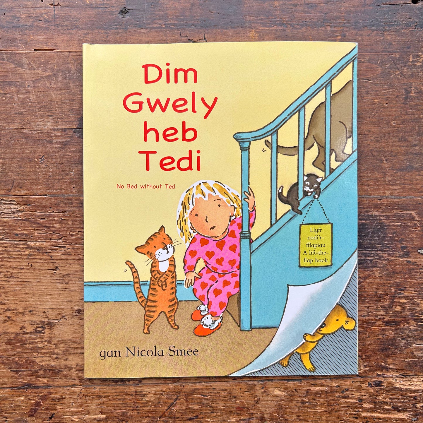 Dim Gwely heb Tedi / No Bed without Ted - Lift the Flap (Preloved)