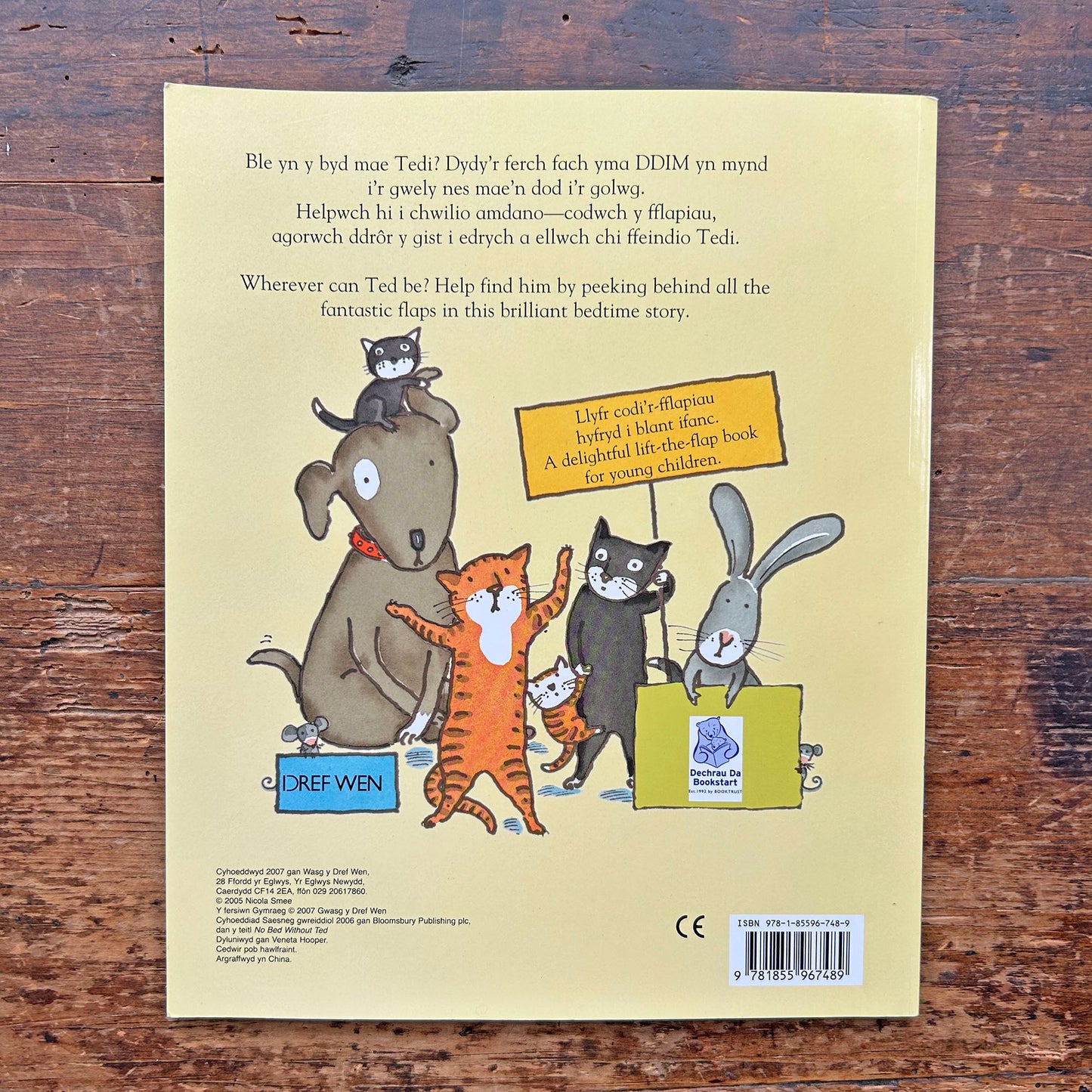 Dim Gwely heb Tedi / No Bed without Ted - Lift the Flap (Preloved)