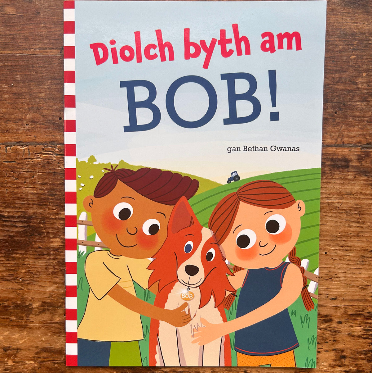 Diolch Byth am Bob! Bethan Gwanas 2023 (Preloved)