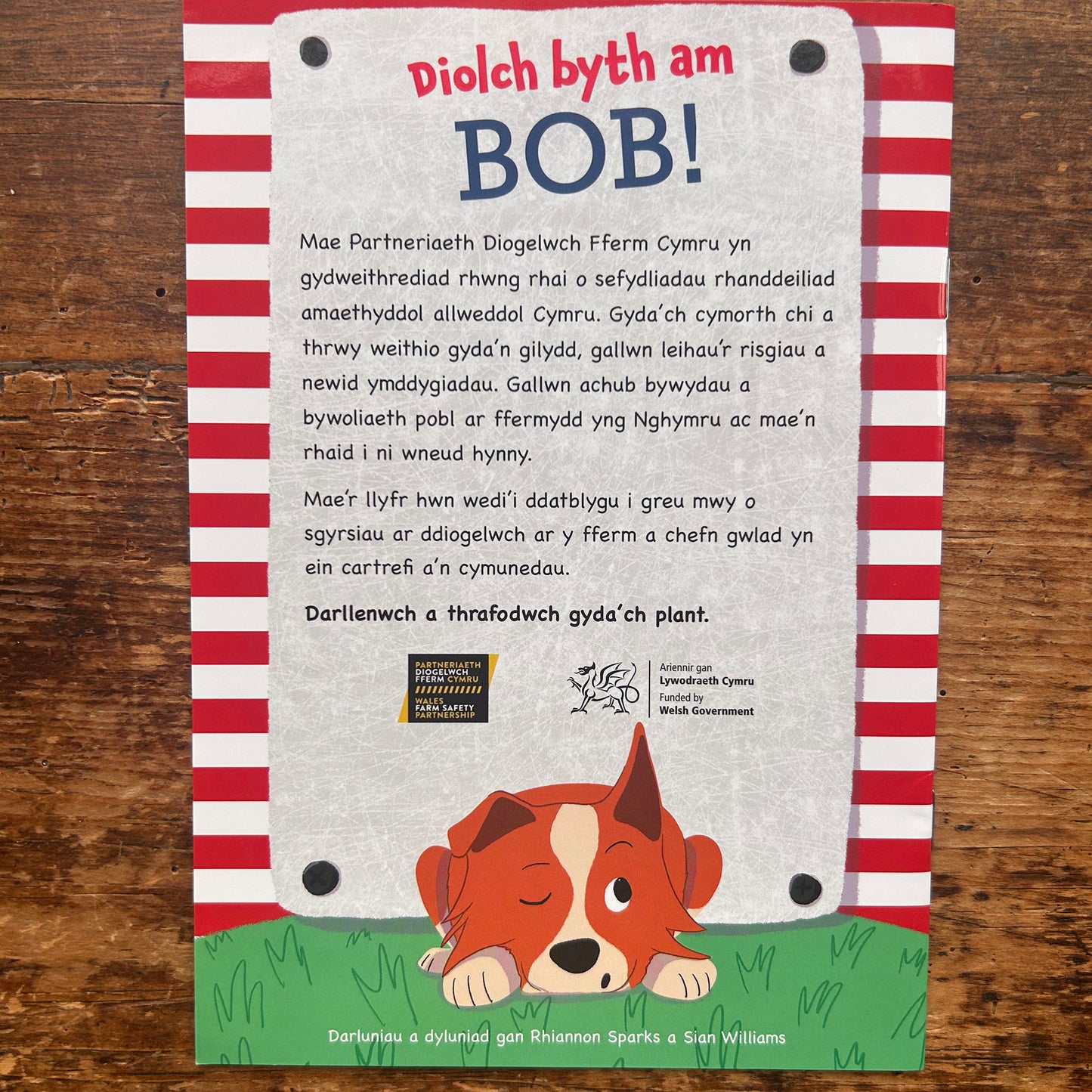 Diolch Byth am Bob! Bethan Gwanas (Preloved)
