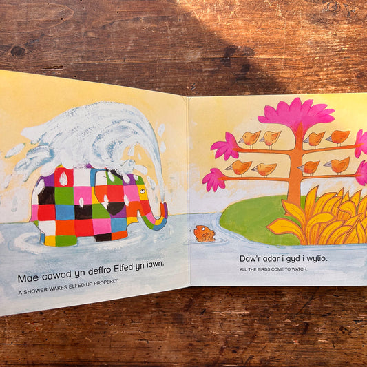 Diwrnod Elfed - Elfed's Day - David McKee 1995 (Preloved)