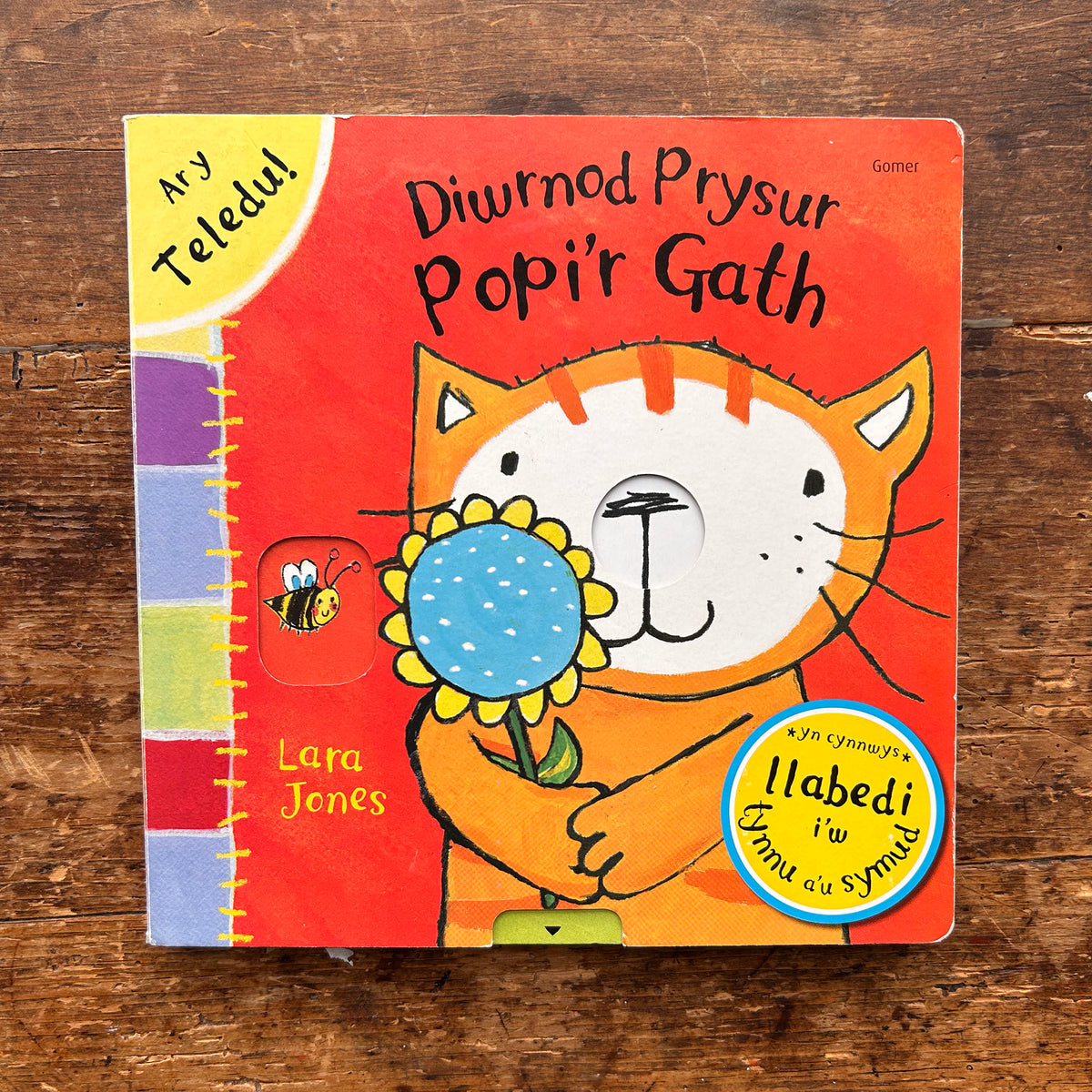 Diwrnod Prysur Popi'r Gath - Lara Jones (Preloved)