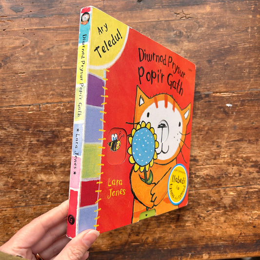 Diwrnod Prysur Popi'r Gath - Lara Jones (Preloved)