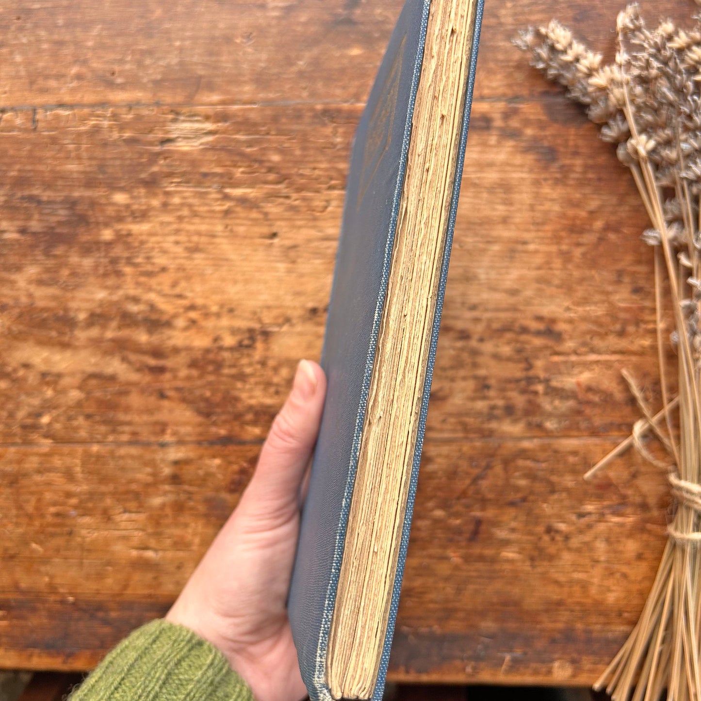 Doctor er ei Waethaf - Moliere - 1924 (Preloved)