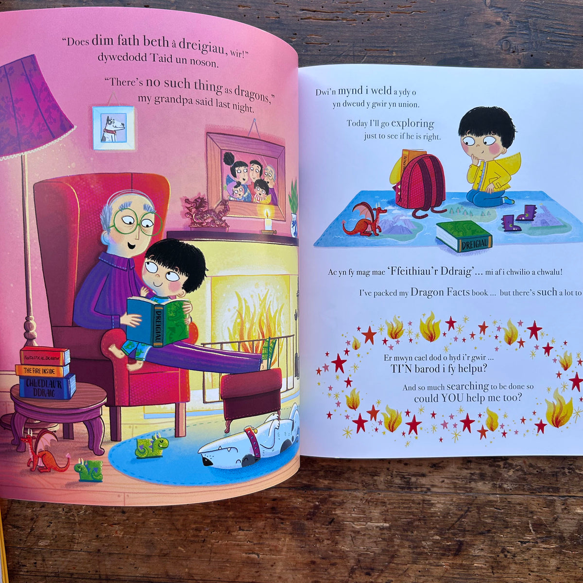 Does Dim Fath Beth a Dreigiau / There's No Such Thing as Dragons (Preloved)