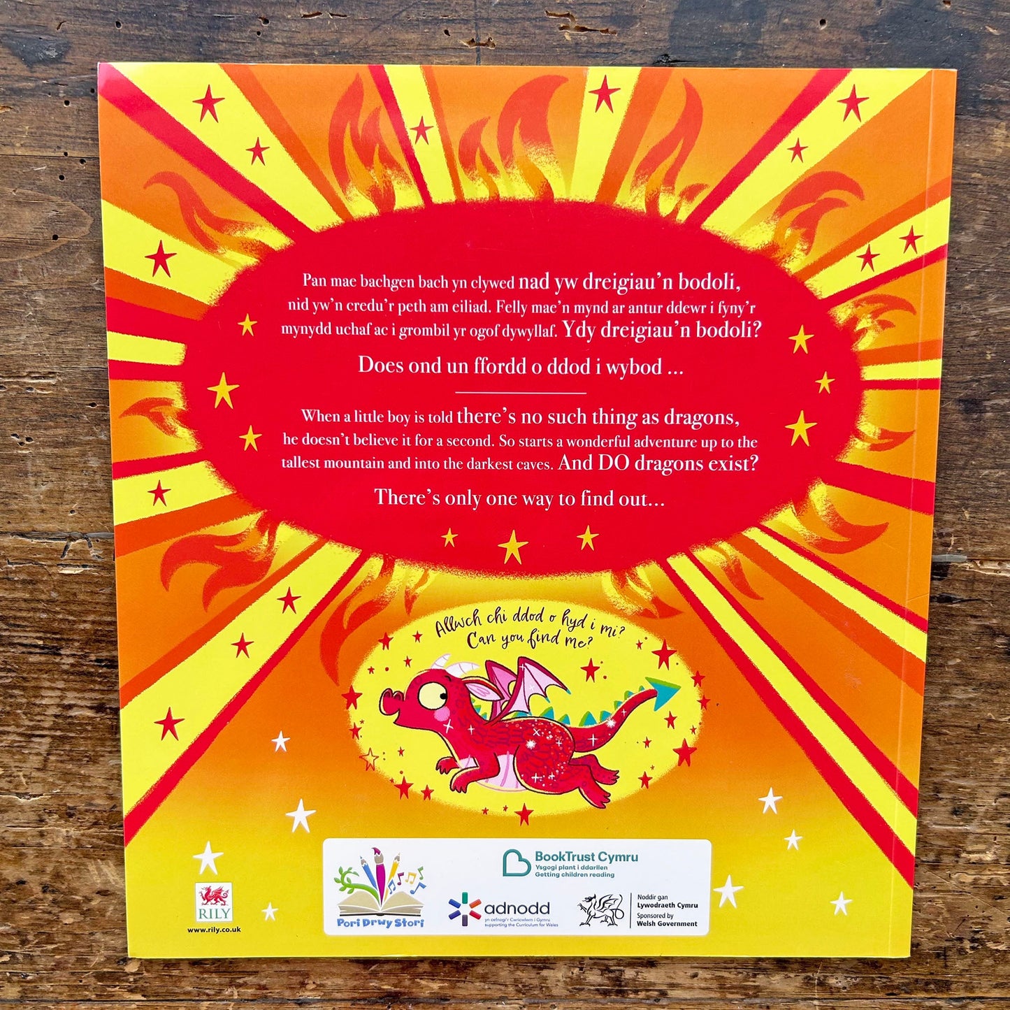 Does Dim Fath Beth a Dreigiau / There's No Such Thing as Dragons (Preloved)