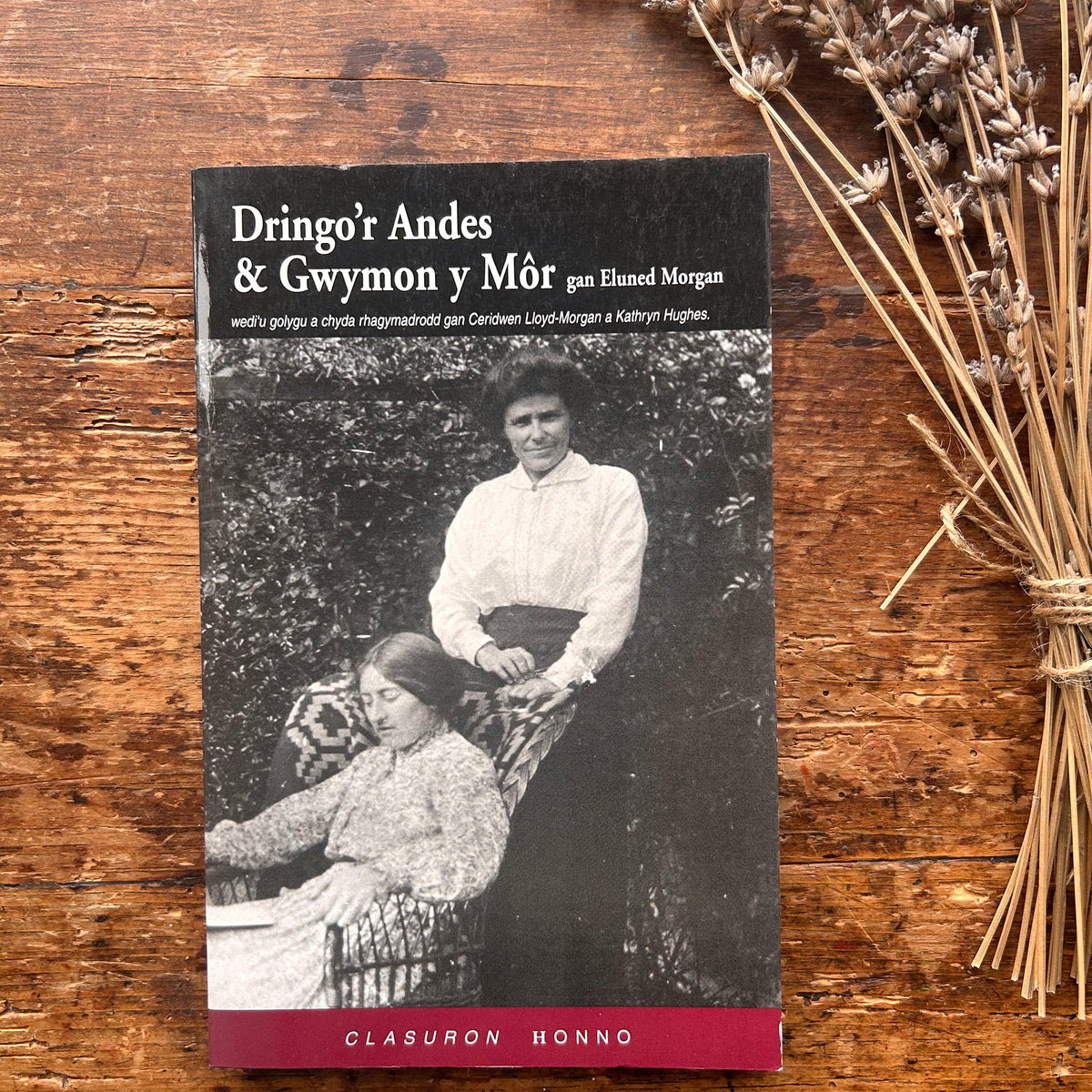 Dringo'r Andes & Gwymon y Môr - Eluned Morgan (Preloved)