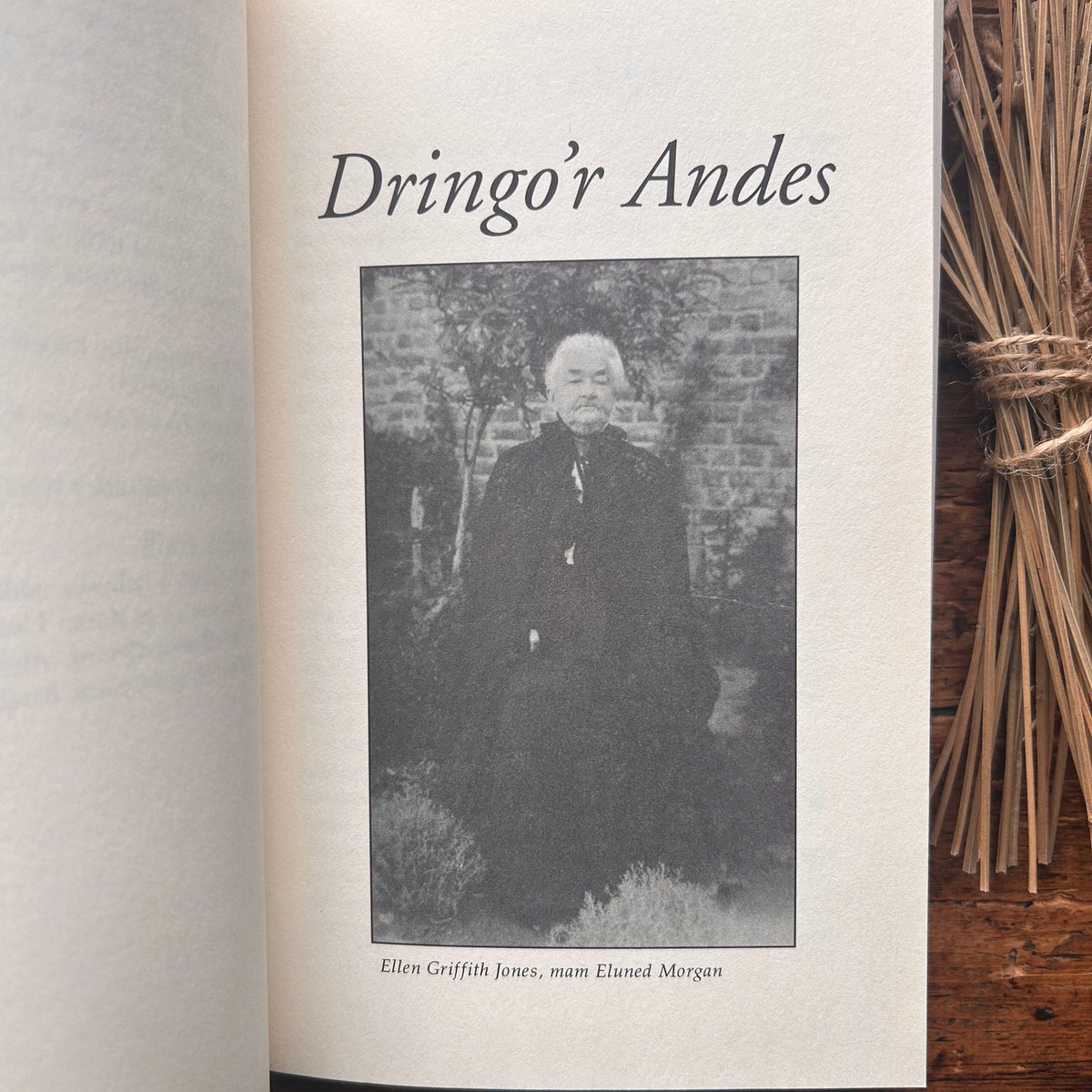 Dringo'r Andes & Gwymon y Môr - Eluned Morgan (Preloved)