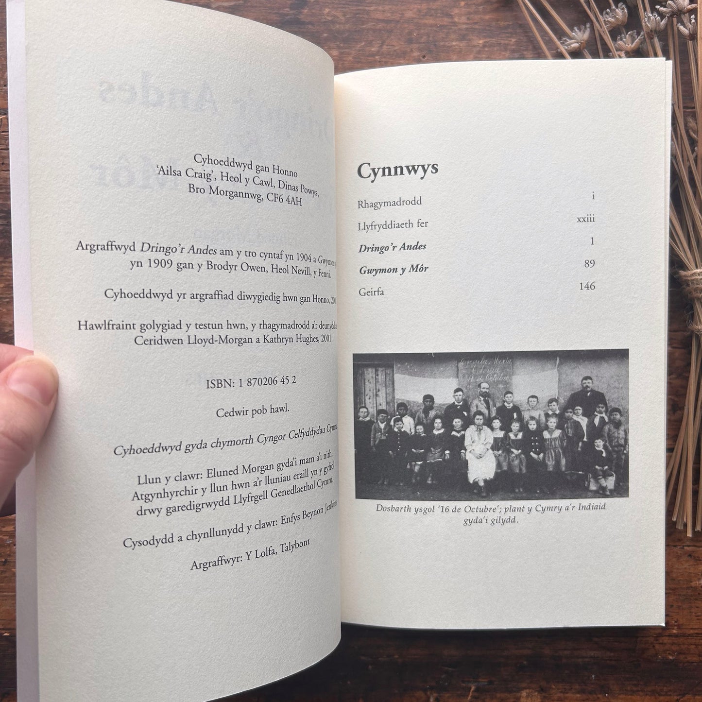 Nedw - E. Tegla Davies - Byrddau Glas - 1922 (Wedi'i ail-law)