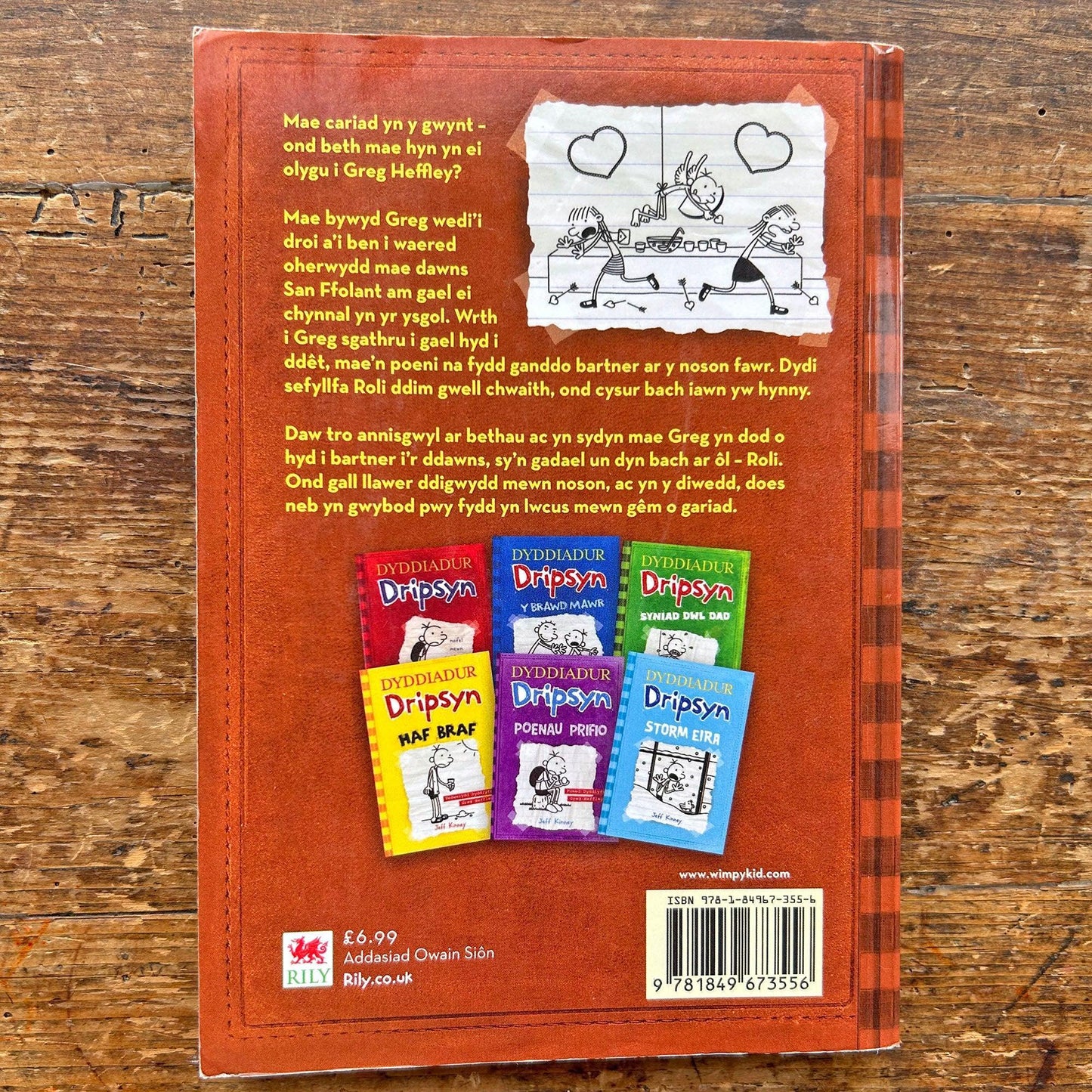 Dyddiadur Dripsyn: Y Gwsberan (Preloved)