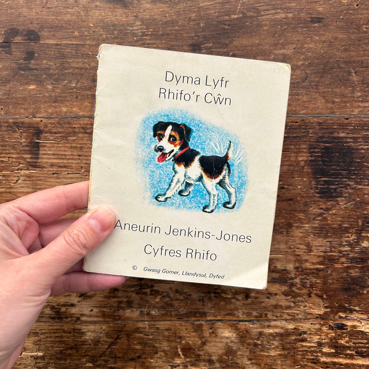 Dyma Lyfr Rhifo'r Cwn / The Dogs Counting Book - Aneurin Jenkins-Jones 1960's (Preloved)