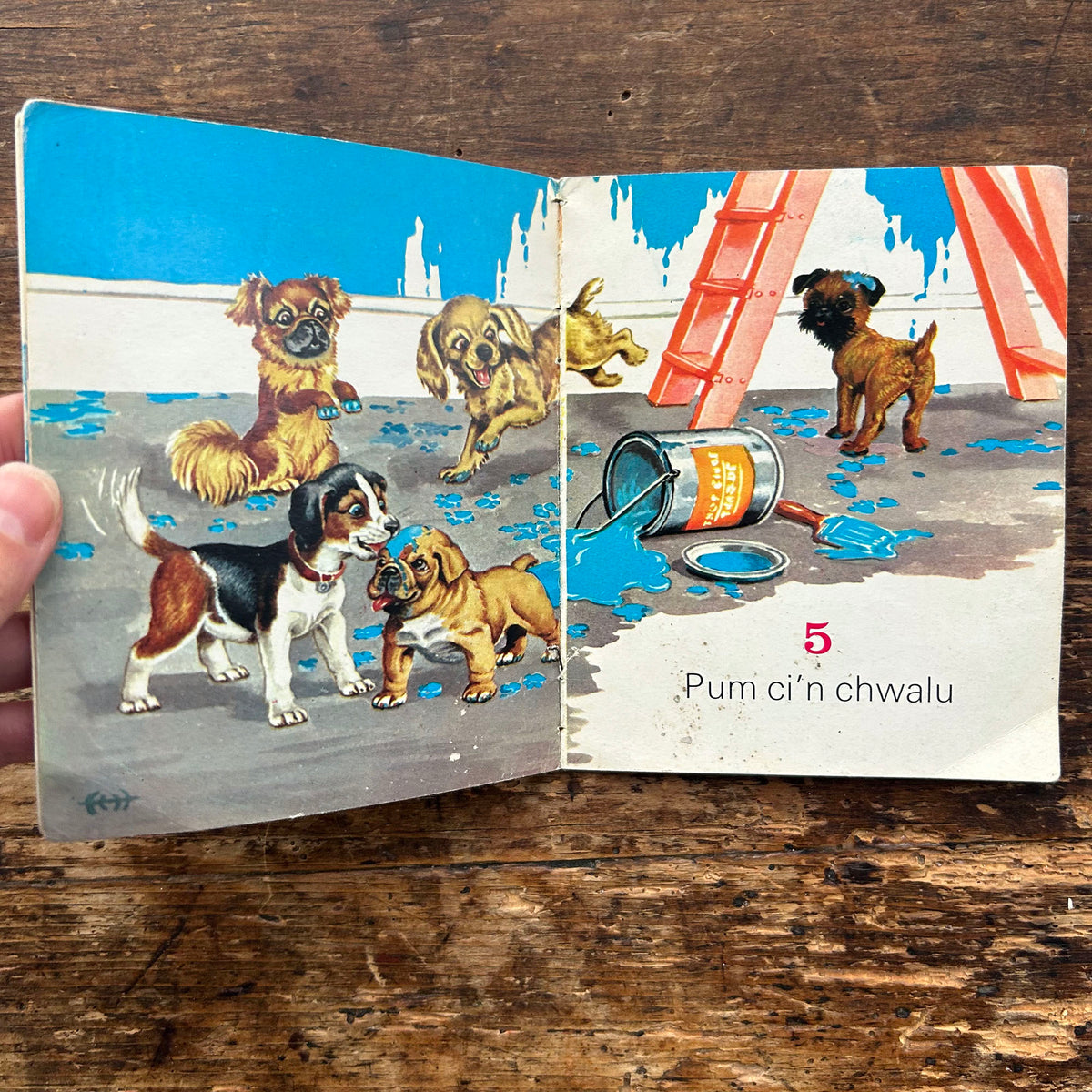 Dyma Lyfr Rhifo'r Cwn / The Dogs Counting Book - Aneurin Jenkins-Jones 1960's (Preloved)
