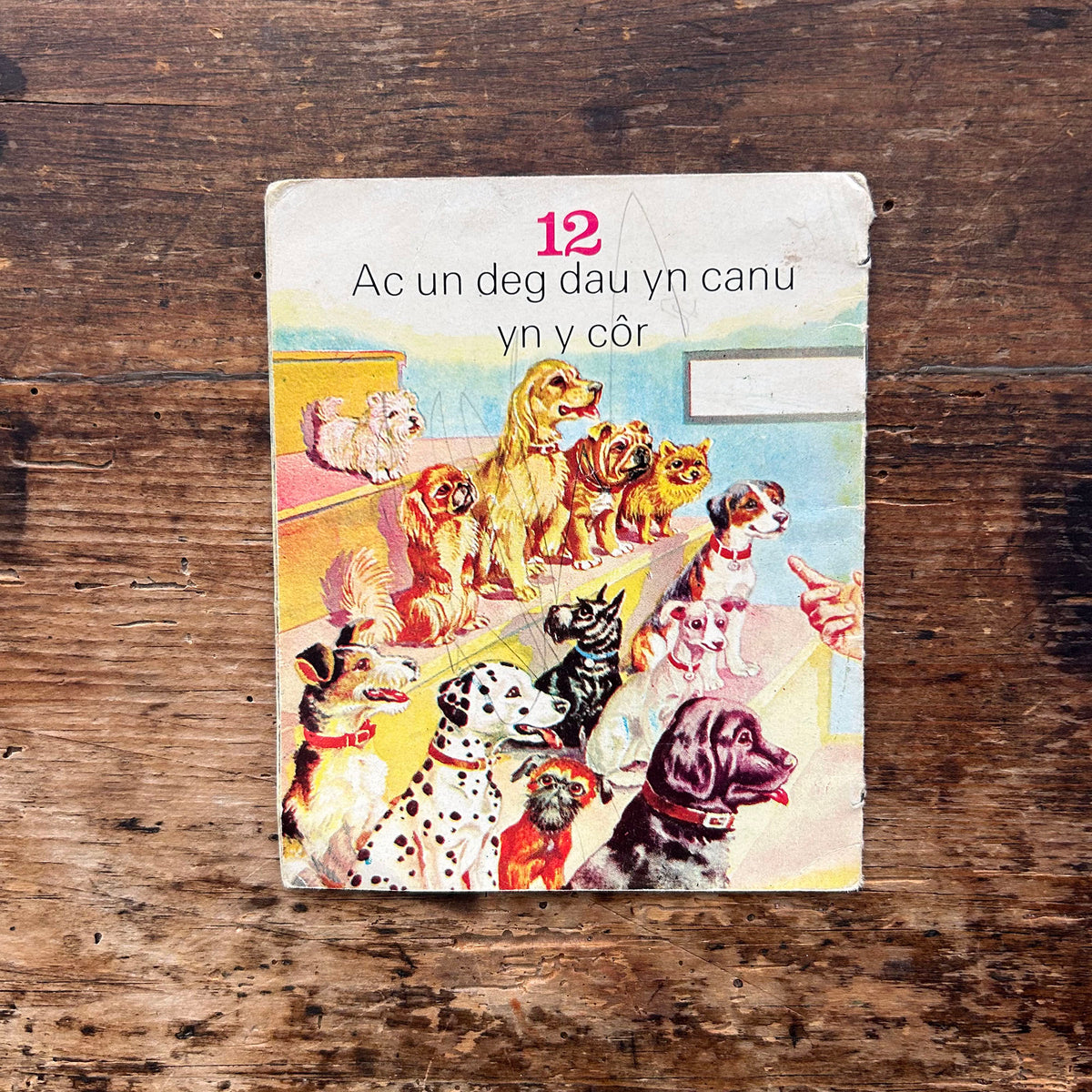 Dyma Lyfr Rhifo'r Cwn / The Dogs Counting Book - Aneurin Jenkins-Jones 1960's (Preloved)