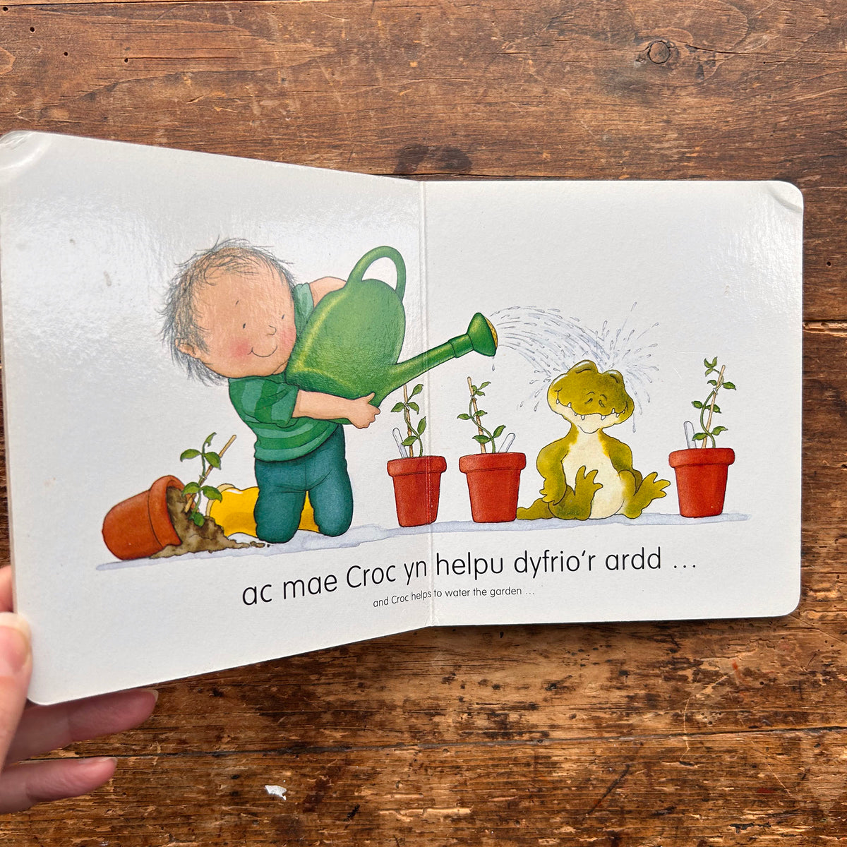 Dyma Ni i Gyd yn Gweithio - Nick Butterworth (Preloved)