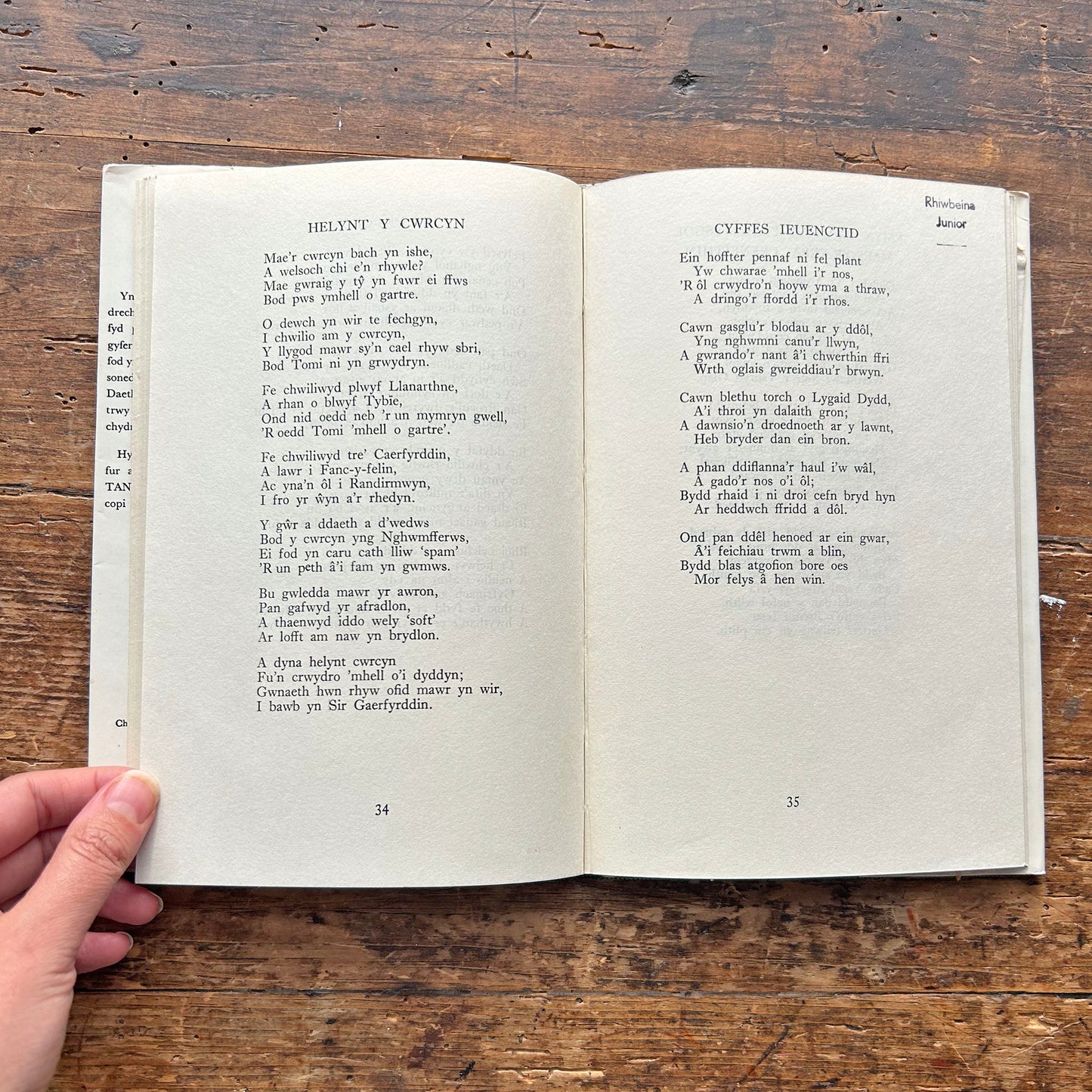 Dyrnaid o siprys: Adroddiadau i blant, penillion, telyn, telynegion a sonedau (Preloved)