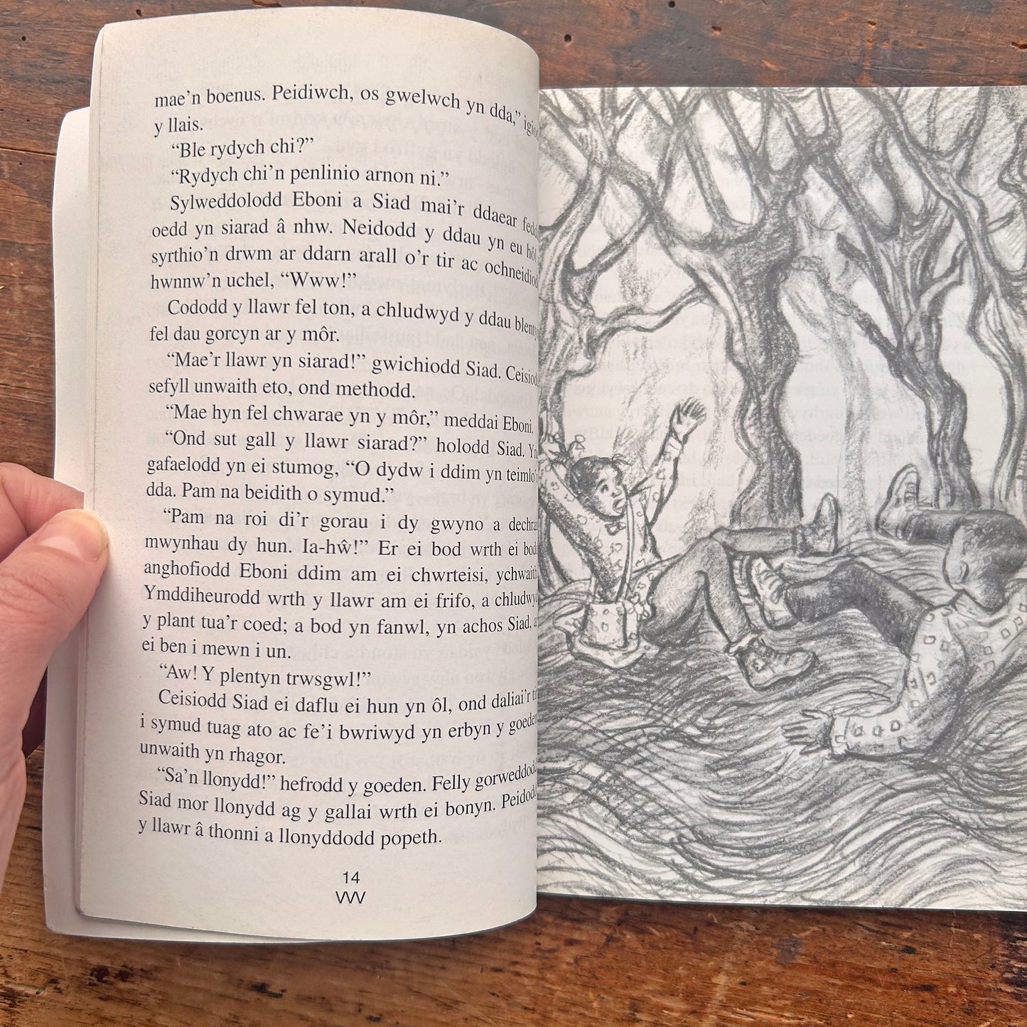 Eboni a'r Llwyn Mwcatwc - 1998 (Preloved)