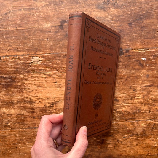 Efengyl Ioan - Pen. IX-XXI - J. Cynddylan Jones - 1901 (Preloved)