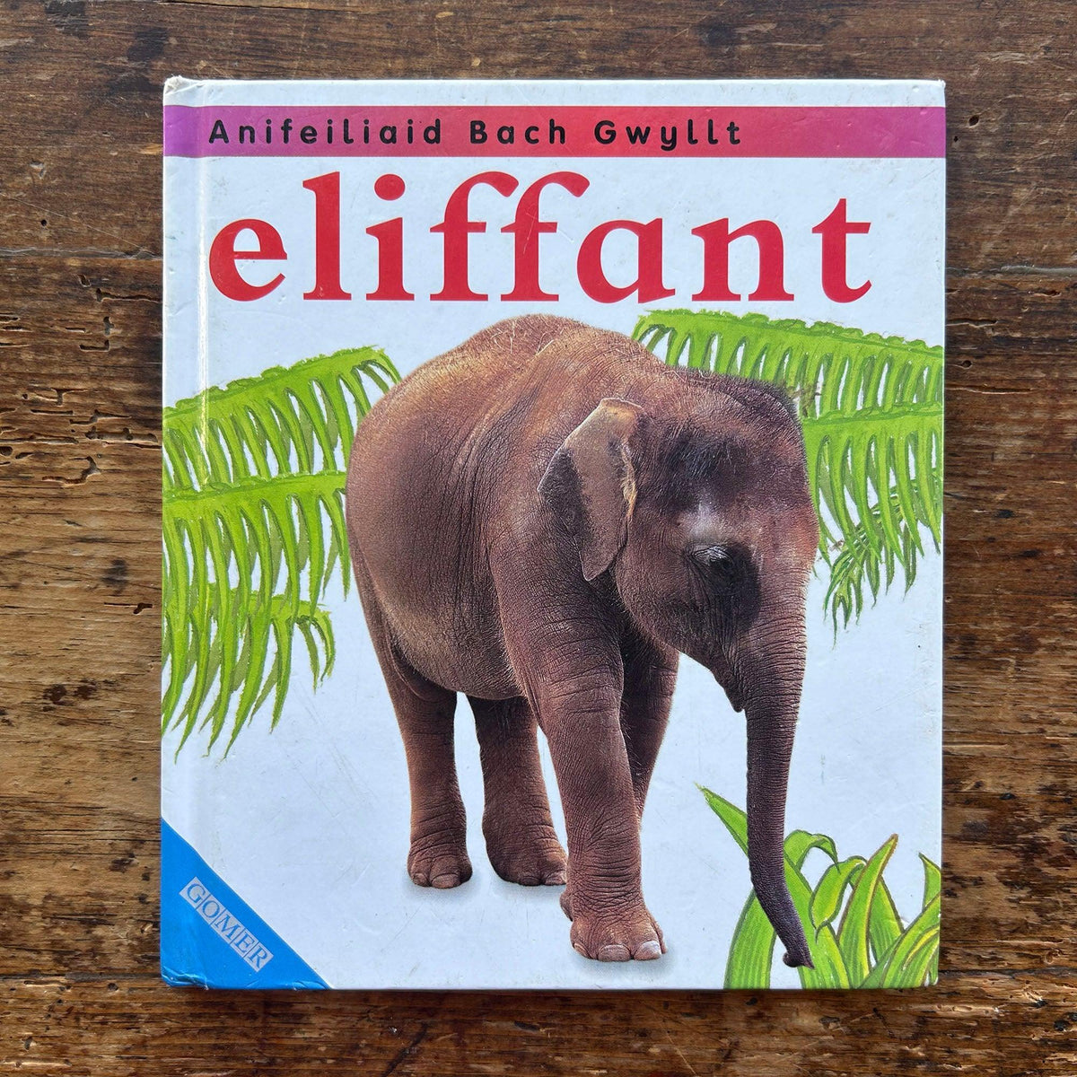 Eliffant - Anifeiliad Bach Gwylltt (Preloved)