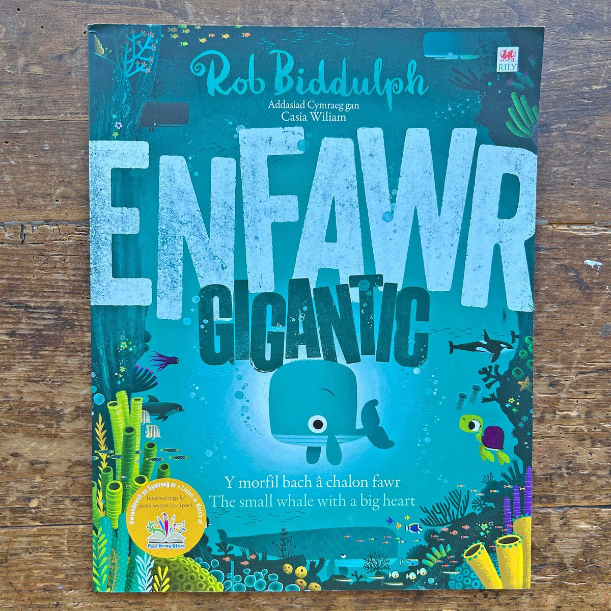 Enfawr / Gigantic - Rob Biddulph (Preloved)