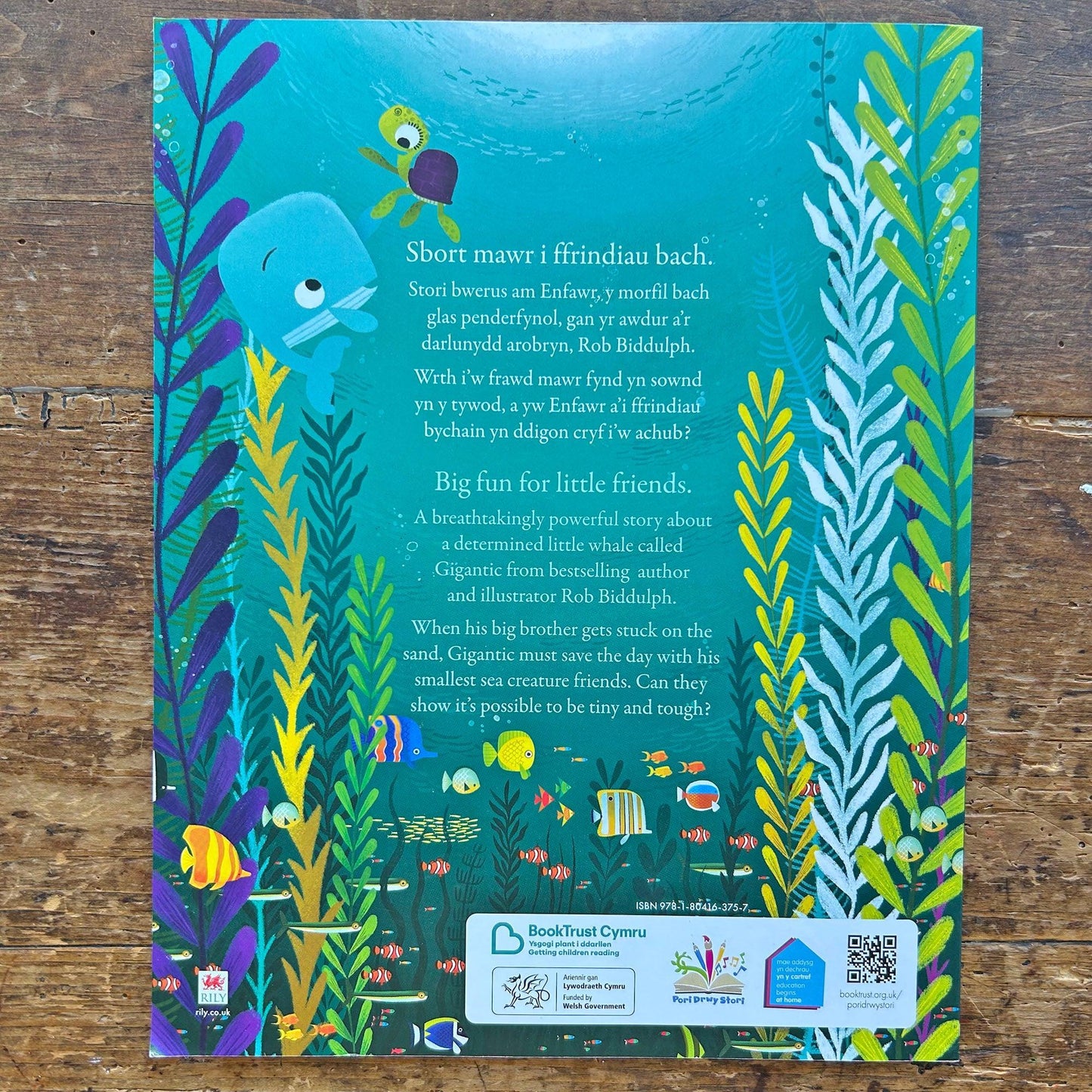 Enfawr / Gigantic - Rob Biddulph (Preloved)