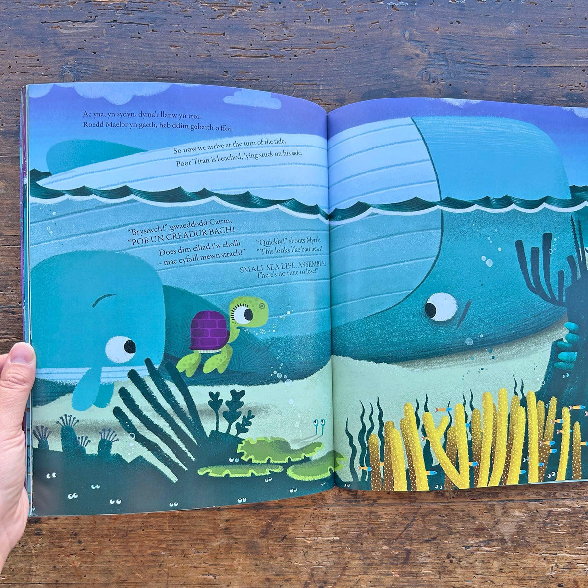 Enfawr / Gigantic - Rob Biddulph (Preloved)