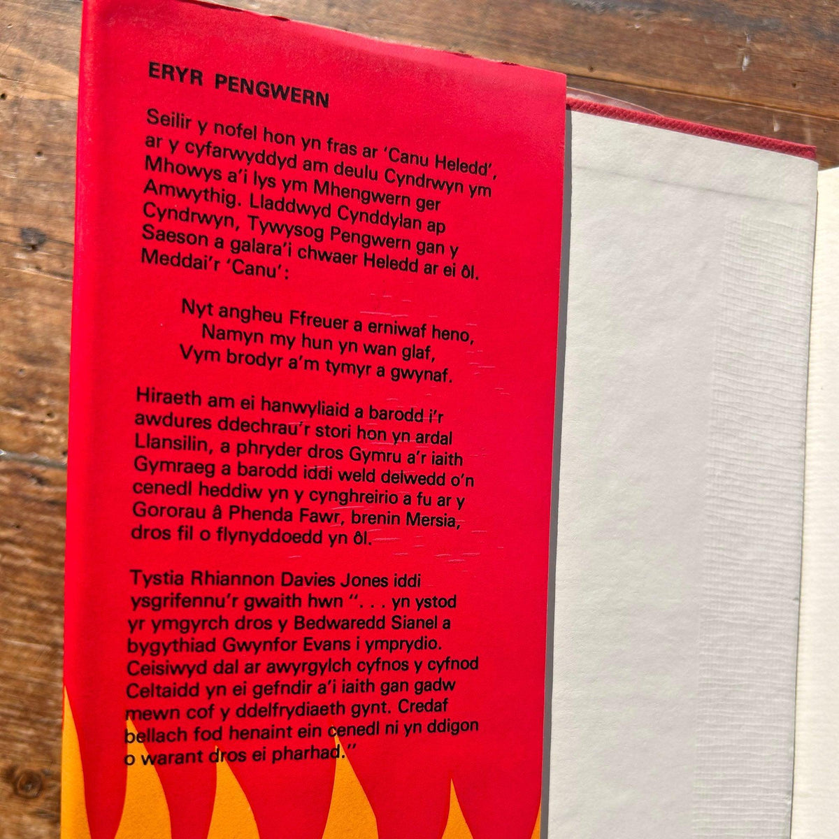 Eryr Pengwern - Rhiannon Davies Jones (Preloved)