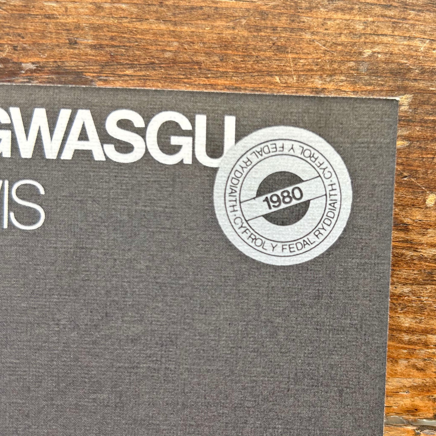 Esgid Yn Gwasgu - Robyn Lewis (Preloved)
