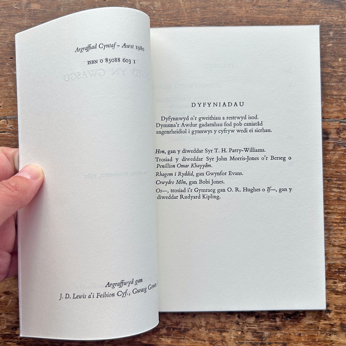 Esgid Yn Gwasgu - Robyn Lewis (Preloved)
