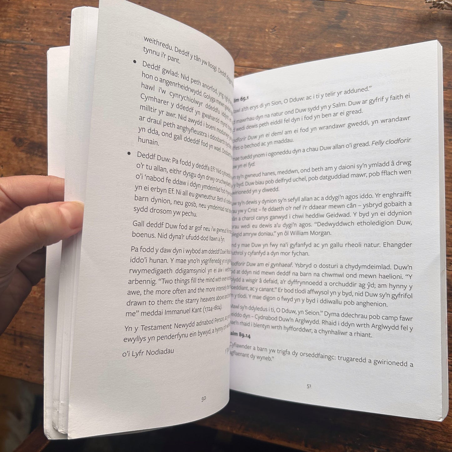 Esgyrn Brasluniol Pregethau y Parchg. T. Eirug Davies (1892-1951) (Preloved)