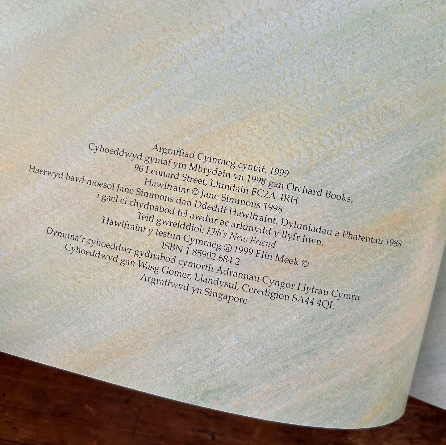 Ffrind Newydd Gel - Jane Simmons 1999 (Preloved)