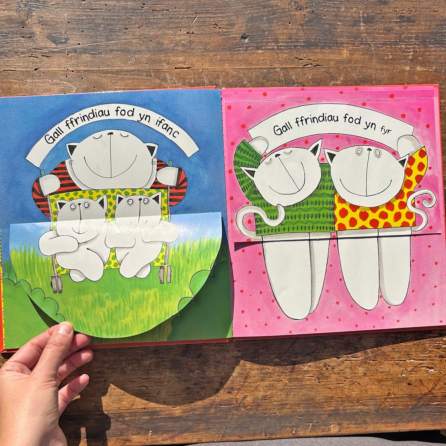 Ffrindiau Gorau - Lift the Flap Book - Josie Firmin (Preloved)