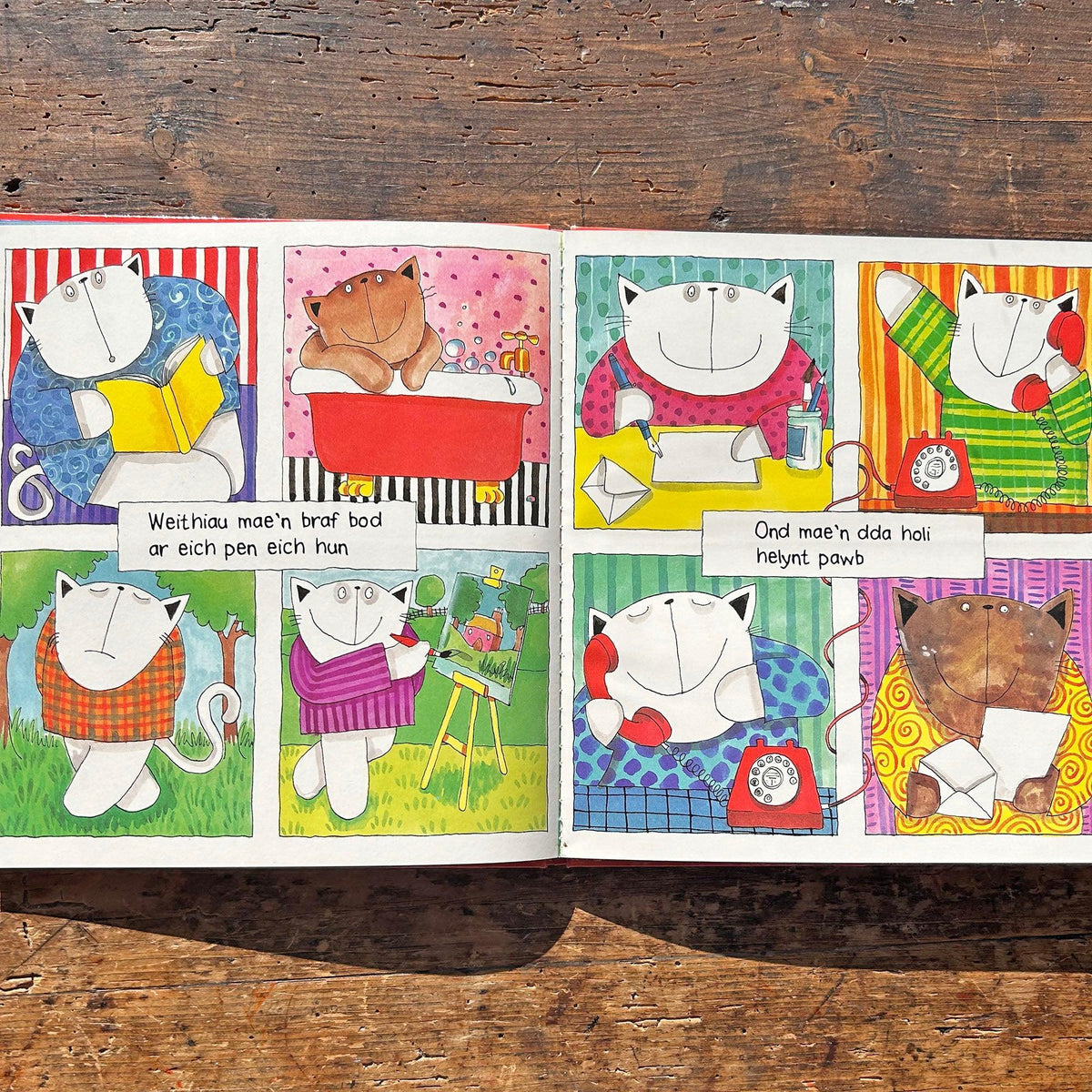 Ffrindiau Gorau - Lift the Flap Book - Josie Firmin (Preloved)