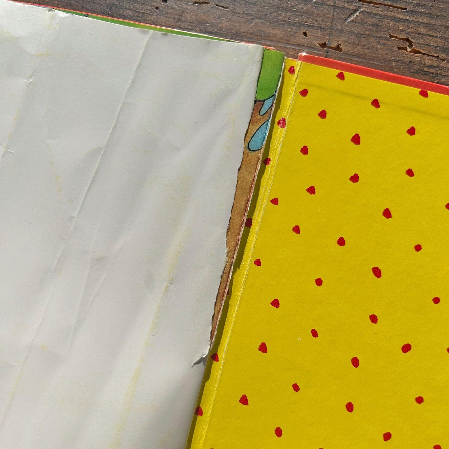 Ffrindiau Gorau - Lift the Flap Book - Josie Firmin (Preloved)