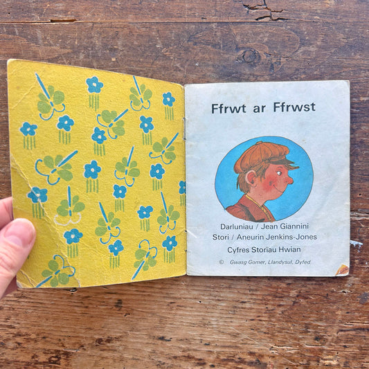Ffrwt ar Ffrwst - Cyfres Storiau Hwian 2 - Miniature (Preloved)