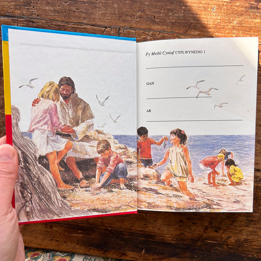 Fy Meibl Cyntaf: Storiau o'r Beibl - Kenneth N. Taylor - 1989 (Preloved)